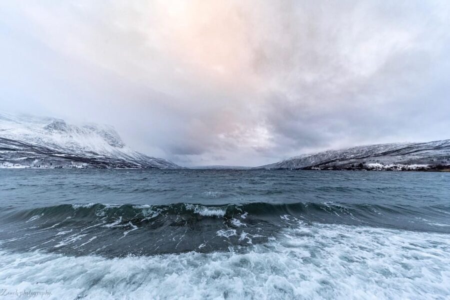From Kiruna: Narvik City and Fjord Day Trip - Transportation, timing, and group size that actually feels manageable