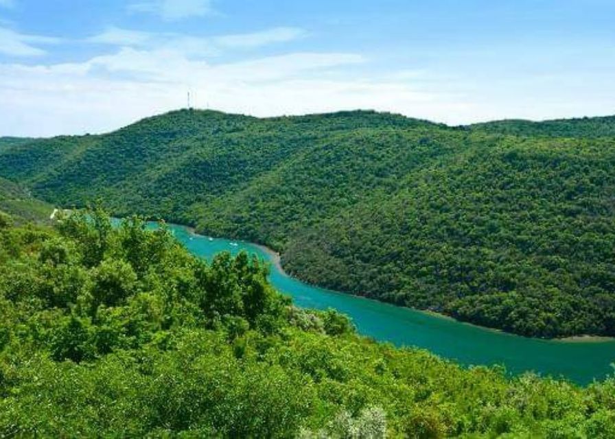 From Poreč: Lim Fjord, Rovinj, and Vrsar Boat Trip - Who should book this tour—and who might prefer something else