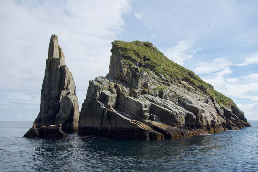 From Seward: Kenai Fjords National Park Cruise with Lunch - Harbor 360 check-in and what to bring