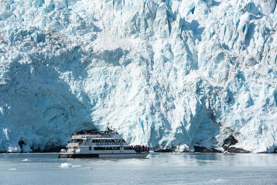 From Seward: Kenai Fjords National Park Cruise with Lunch - Two active tidewater glaciers: Holgate and Aialik close-up calving