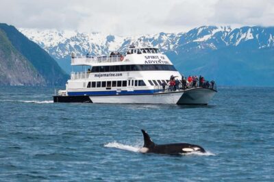 From Seward: Kenai Fjords National Park Cruise with Lunch - The high-speed catamaran: comfort, sightlines, and binoculars