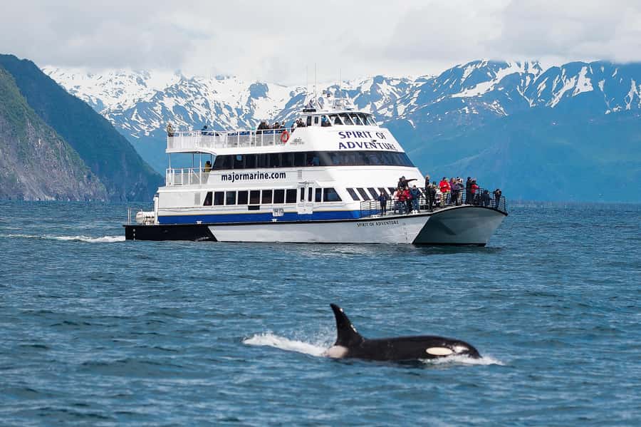 From Seward: Kenai Fjords National Park Cruise with Lunch - The high-speed catamaran: comfort, sightlines, and binoculars
