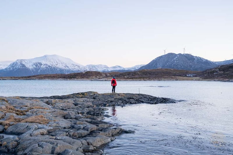From Tromsø: Arctic Roadtrip: fjords tour with scenic picnic - Photo stops and professional images: the best combo for Arctic days