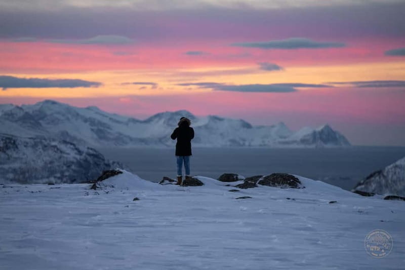 From Tromsø: Arctic Roadtrip: fjords tour with scenic picnic - Seasons in one day: winter snow, midnight sun, and everything between