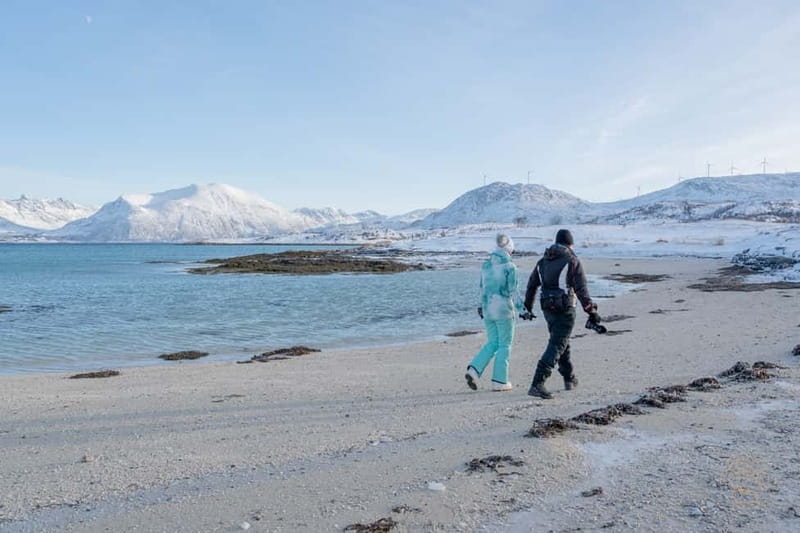 From Tromsø: Arctic Roadtrip: fjords tour with scenic picnic - Cruise passengers: meeting points and extra pickup options