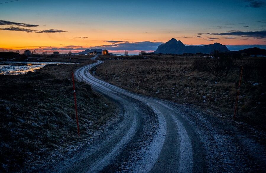 From Tromsø: Arctic Wildlife & Fjord Sightseeing Tour by Car - Key highlights worth planning for