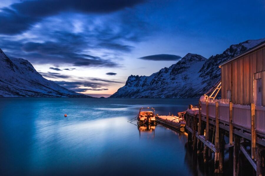 From Tromsø: Arctic Wildlife & Fjord Sightseeing Tour by Car - Why Kvaløya and Sommarøy beat a quick Tromsø loop