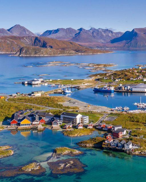 From Tromsø: Arctic Wildlife & Fjord Sightseeing Tour by Car - Wildlife and bird spotting: what you might see, and how to improve your odds