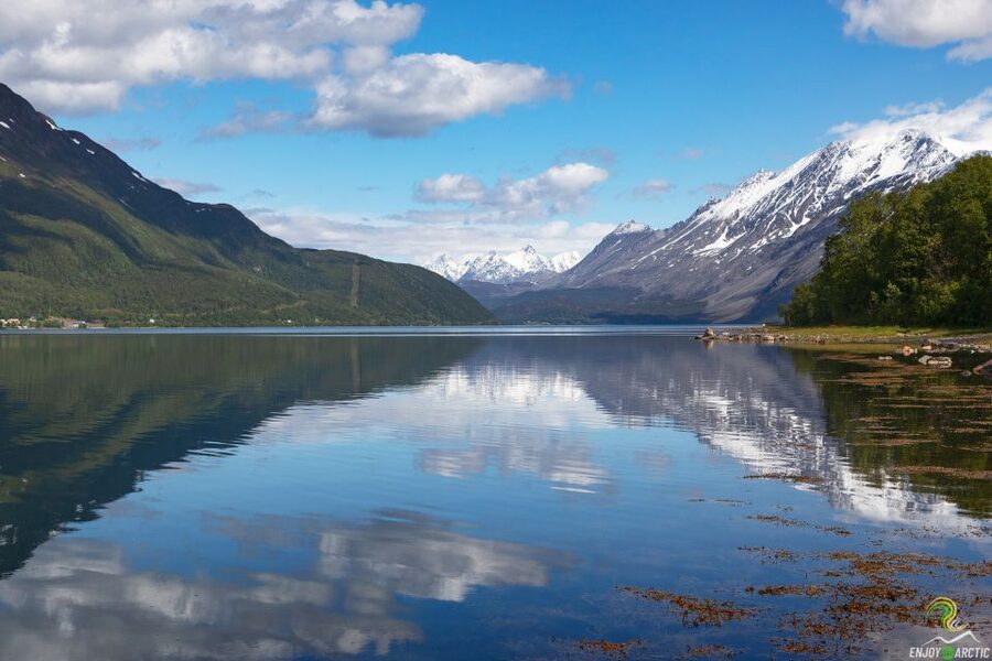 From Tromso: Norwegian Fjords Half-Day Tour - Key Points I’d Write on a Post-It