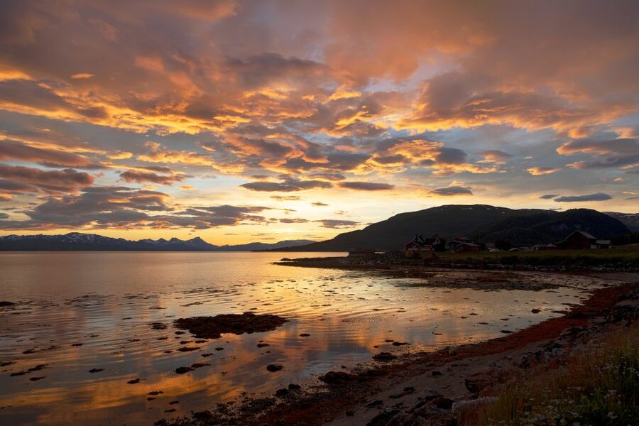 From Tromso: Norwegian Fjords Half-Day Tour - Kvaløya, Whale Island: Fjords, Viewpoints, and Short Walk Time