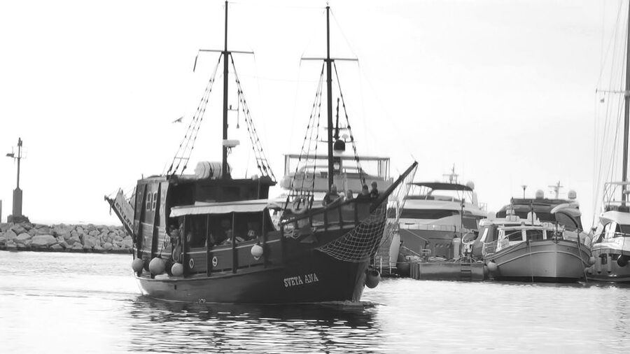 From Vrsar: Boat Trip to Rovinj and Lim Fjord - Who This Tour Suits Best (and Who Might Prefer a Different Plan)