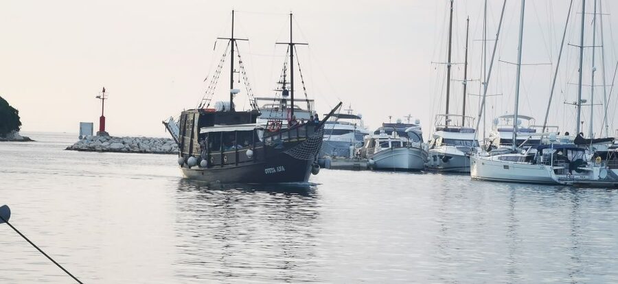 From Vrsar: Boat Trip to Rovinj and Lim Fjord - FAQ