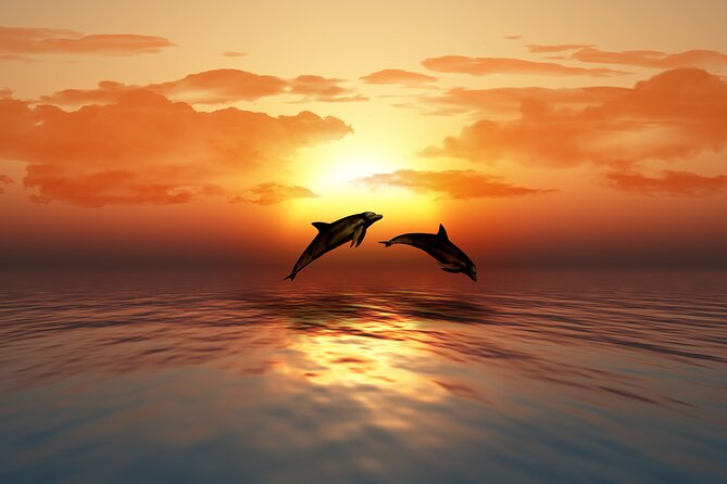 Full day Dhow: Khasab, Musandam: Dolphins, Snorkeling & Fjords - Snorkeling and kayaking: the gear and the payoff