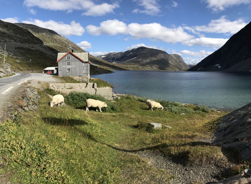 Geiranger: Dalsnibba, Flydalsjuvet, Eagle Bend & Fjords Tour - Djupvatnet Lake stop: a calmer pause mid-climb