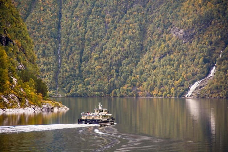 Geiranger: Fjord and Waterfalls Sightseeing Boat Trip - Wildlife odds in a working fjord: seals, otters, and seabirds