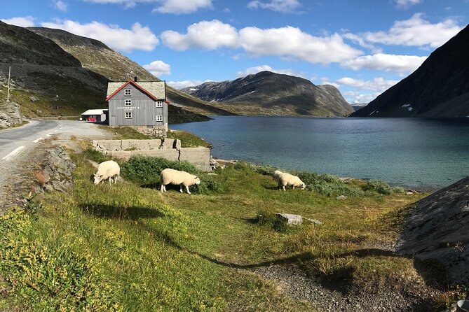 Geiranger: Sky to Fjord Downhill Biking Adventure - Price and Value: Is $160.09 Worth 2.5 Hours?