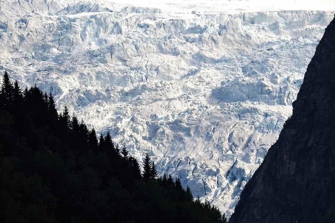 Guided Fjord & Glacier Tour - From BERGEN - The Sognefjord cruise on MV Fjord Lady: your 2-hour scenery anchor