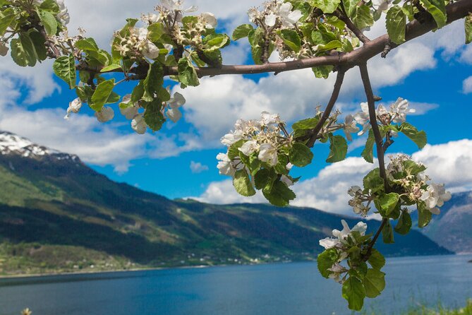 Guided tour to Hardanger Fjord, Waterfalls and Ferry Crossing - Steinsdalsfossen near Norheimsund: the best walk of the day