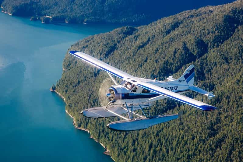 Ketchikan: Misty Fjords National Monument Floatplane Tour - Why Misty Fjords From the Sky Feels So Different