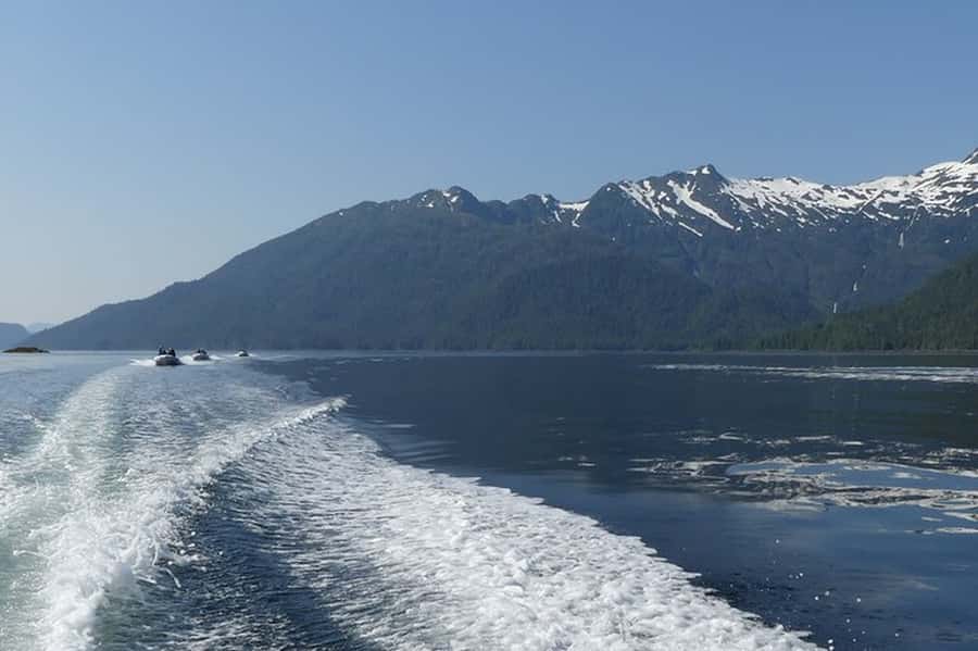 Ketchikan: Scenic Drive & George Inlet Fjords Zodiac Cruise - Who this tour suits best (and who should choose differently)