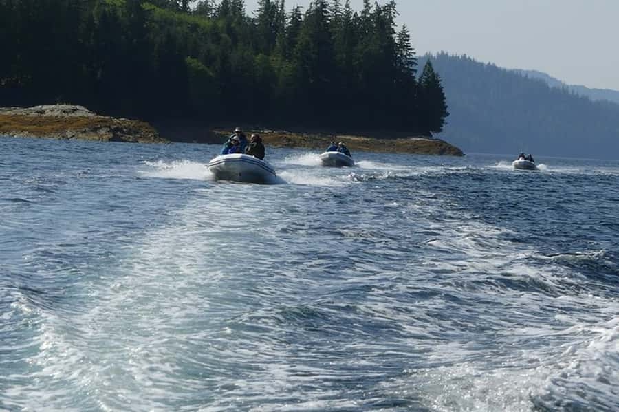 Ketchikan: Scenic Drive & George Inlet Fjords Zodiac Cruise - Beaver Falls Salmon Cannery: the rainforest walk that sets you up