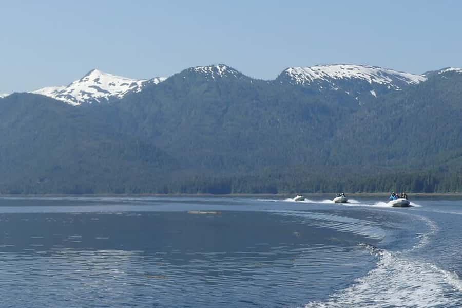 Ketchikan: Scenic Drive & George Inlet Fjords Zodiac Cruise - George Inlet Fjords: where the water views feel close and real