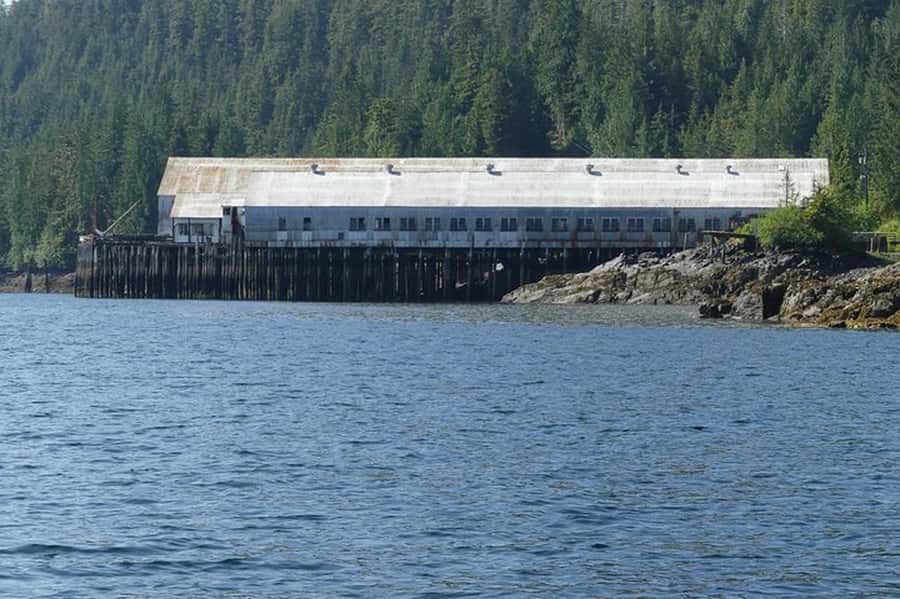 Ketchikan: Scenic Drive & George Inlet Fjords Zodiac Cruise - Price and value: what $240 buys you in real terms
