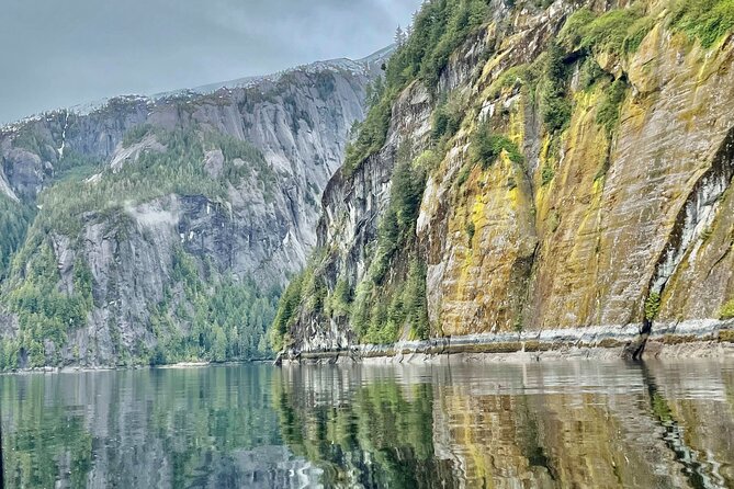 Misty Fjords Expedition - 6 Passenger Boat - Wildlife odds: what you should actually look for