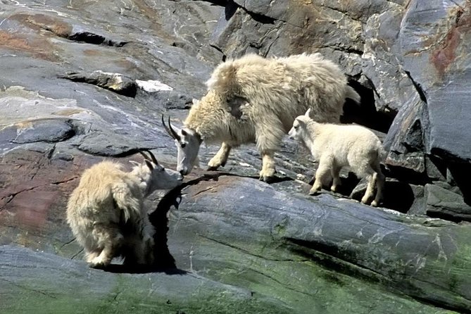 Misty Fjords Expedition - 6 Passenger Boat - Stop 1: Misty Fjords National Monument and the three big-name sights