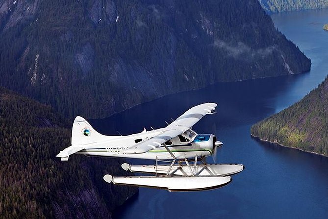 Misty Fjords Flightseeing 1 hour - Misty Fjords from the air: what the 1-hour flight really shows you
