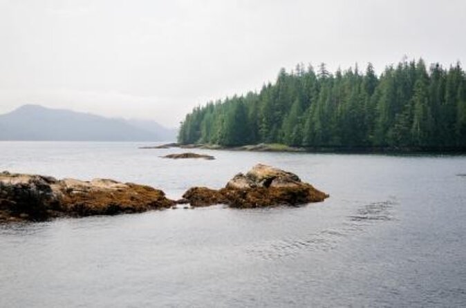 Misty Fjords National Monument Floatplane Tour - Key things to know before you go