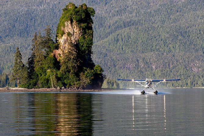 Misty Fjords National Monument Floatplane Tour - Wildlife spotting chances (and how to manage expectations)