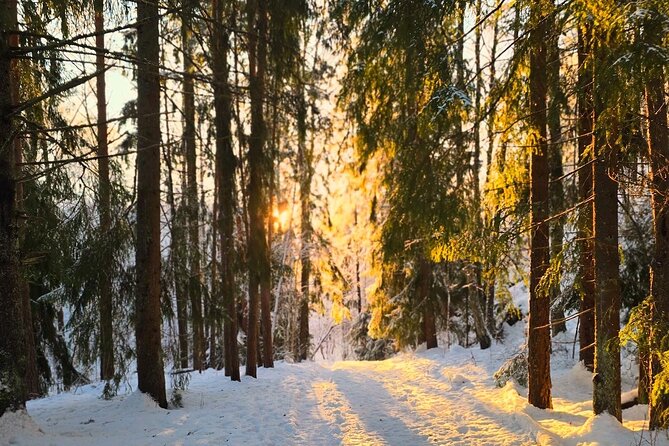 Oslo: Panoramic Fjord Hike Lead by a Local Guide and Dog - Winter Fjord Hiking, But With Nordic Comfort