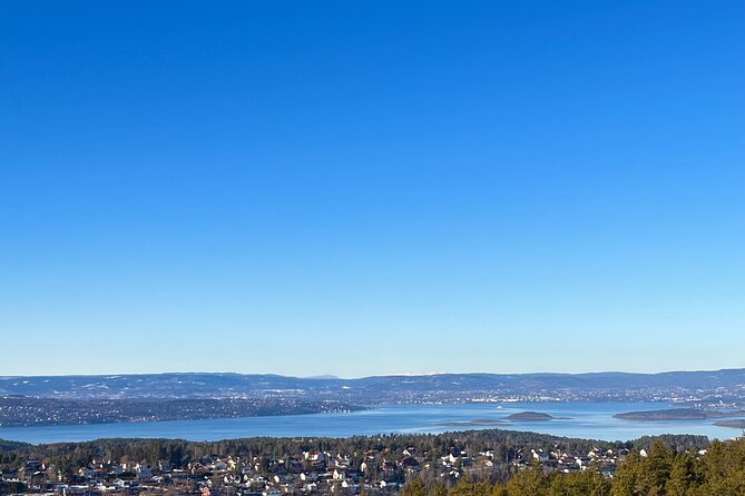 Oslo: Panoramic Fjord Hike Lead by a Local Guide and Dog - Nero the Dog: Why This Doesn’t Feel Like a Stunt