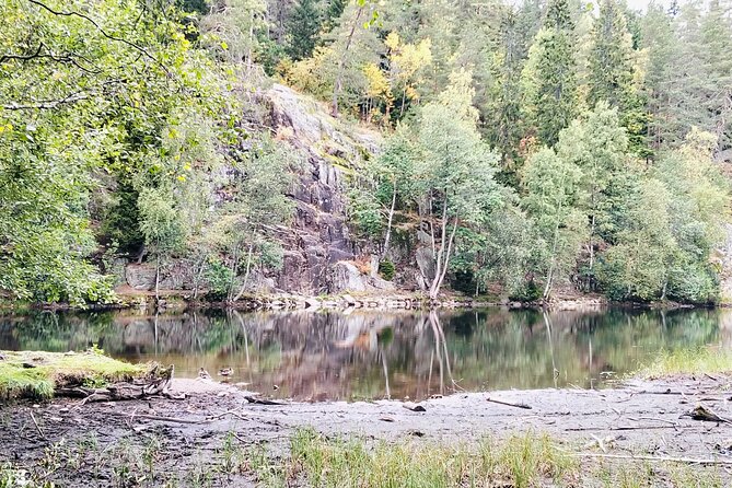 Oslo’s Ultimate Fjord View Hike & Norwegian Waffle Workshop - Stop 3: Frognerseteren Forest Walk and Stories That Land