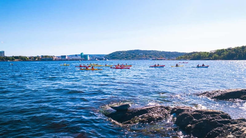 Oslo Sea Kayak Tour “Fjord City” - Paddling past Akershus Fortress: a guided waterfront moment