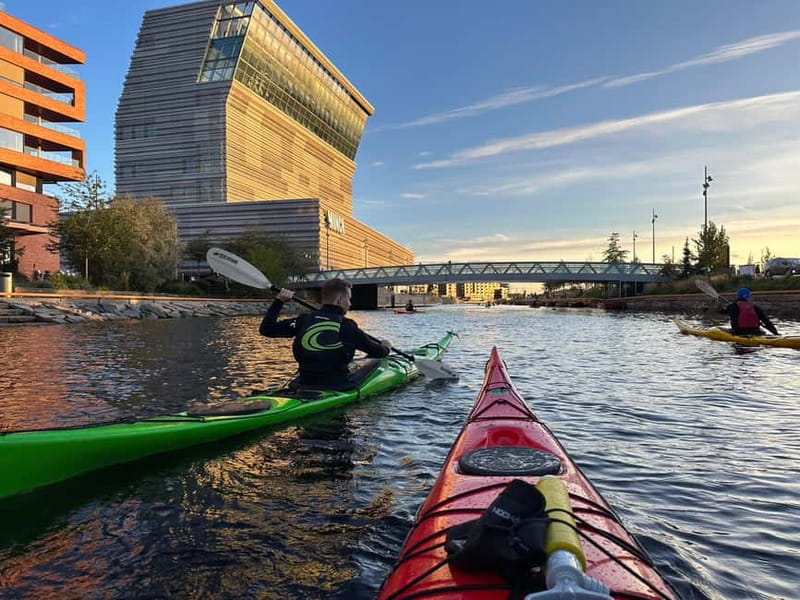 Oslo Sea Kayak Tour “Fjord City” - Safety, swim comfort, and who this tour is best for