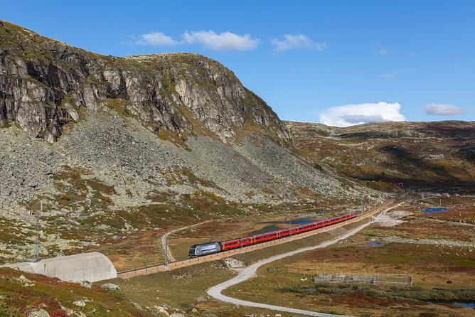 Oslo To Bergen Self-Guided Full Day Trip with Flåm Railway And Fjord Cruise - Why This One-Way Day Trip Packs Norway So Well