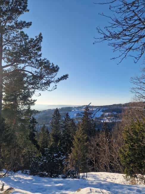 Panoramic Peaks – Oslo’s Most Beautiful Fjord Views Hike - From Jernbanetorget Tiger Statue to Vettakollen Views