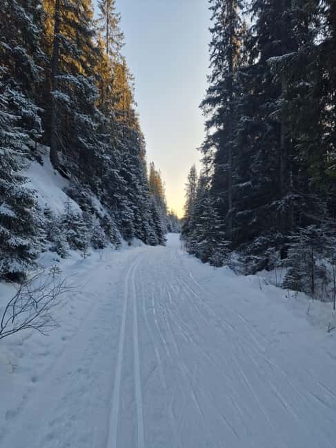 Panoramic Peaks – Oslo’s Most Beautiful Fjord Views Hike - Two View Stops: Fjord Glimpses and the Summit Moment