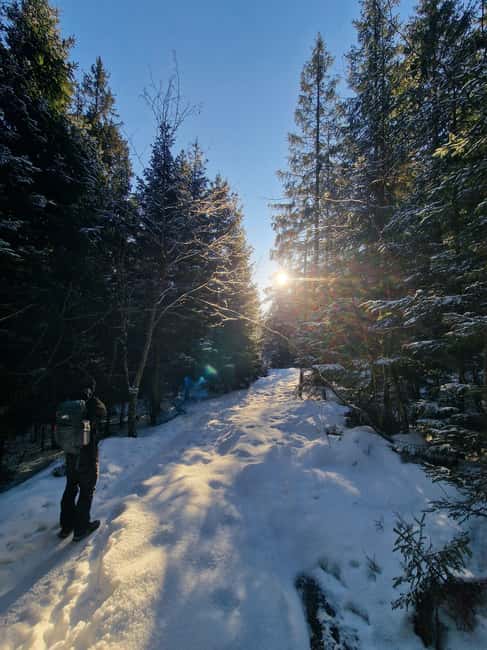 Panoramic Peaks – Oslo’s Most Beautiful Fjord Views Hike - Cost and Timing: Is It Worth $103 for 4 Hours?