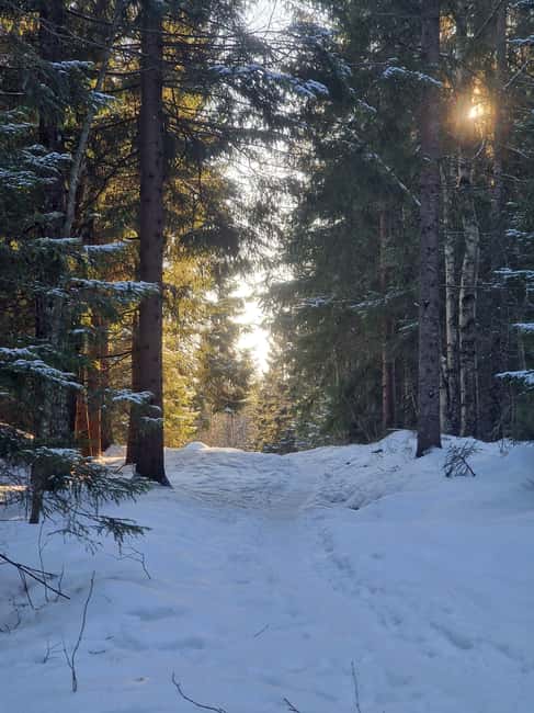 Panoramic Peaks – Oslo’s Most Beautiful Fjord Views Hike - Who This Hike Fits Best (and Who Should Skip It)