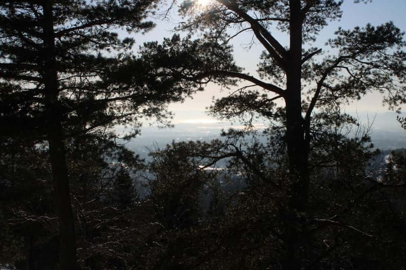 Panoramic Peaks – Oslo’s Most Beautiful Fjord Views Hike - Should You Book Panoramic Peaks?
