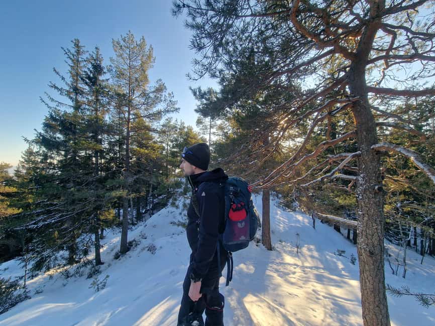 Panoramic Peaks – Oslo’s Most Beautiful Fjord Views Hike - The Walking Rhythm: Forest Trails, Lakes, and Rolling Hills