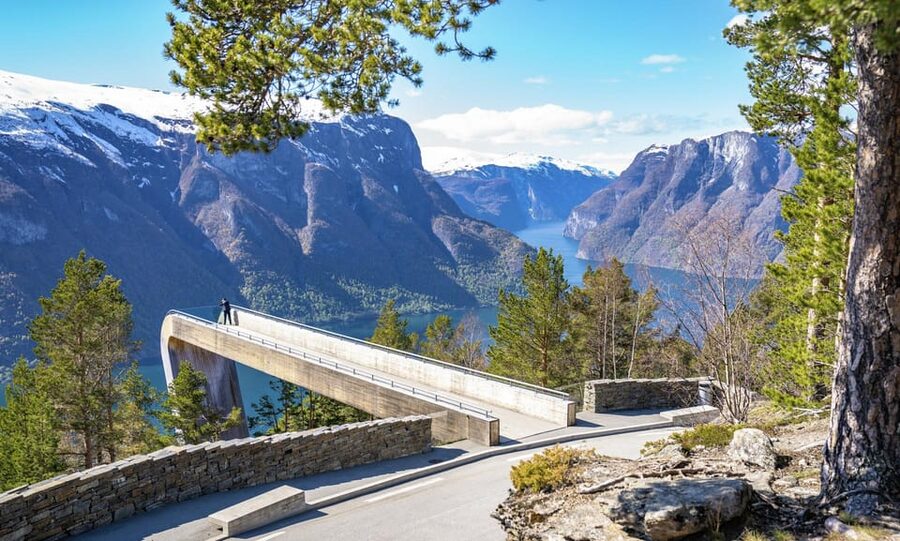 Private Day Tour- Flam Railway & Fjord Cruise From Bergen - Why This Flåm Railway and Fjord Day Feels Efficient
