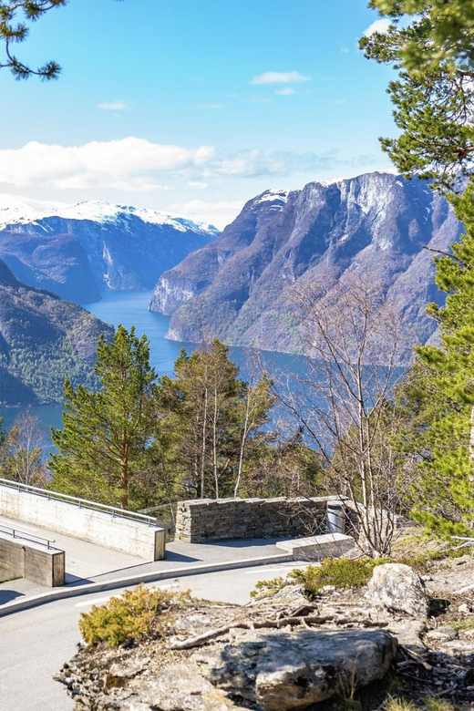 Private Day Tour- Flam Railway & Fjord Cruise From Bergen - Flåmsbane: Sharp Curves, Big Drops, and Panoramas
