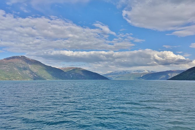 PRIVATE GUIDED TOUR: King of the Fjords – round trip to the Sognefjord, 11 hours - Coffee with views: Storesvingen Fjellstove stop