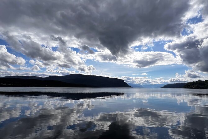 Private Guided Tour of Bergen and the Best of Norwegian Fjords - Key highlights at a glance