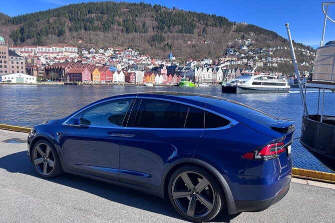 Private Guided Tour of Bergen and the Best of Norwegian Fjords - Omaholmen: a quick photo stop that pays off