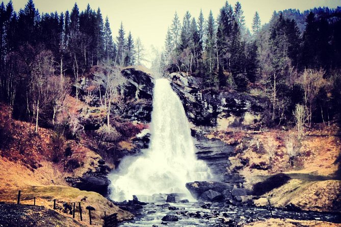 PRIVATE GUIDED TOUR: Queen of the Fjords - tour from Bergen, 6 hours - The Hardangerfjord proper: Vangdal, Omaholmen, and fruit-country vibes
